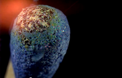 In Slow-Motion: Das passiert bei einem Streichholz